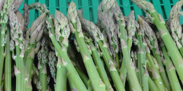 Auch die Grünspargeln mussten im April unter dem Frost leiden. (Bild lid)