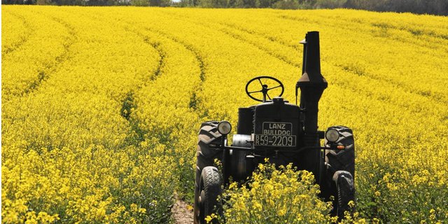 Der Verein für eine produzierende Landwirtschaft spricht sich deutlich gegen die AP 22+ aus. (Bild zVg) 