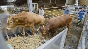 Die Transportüberwac