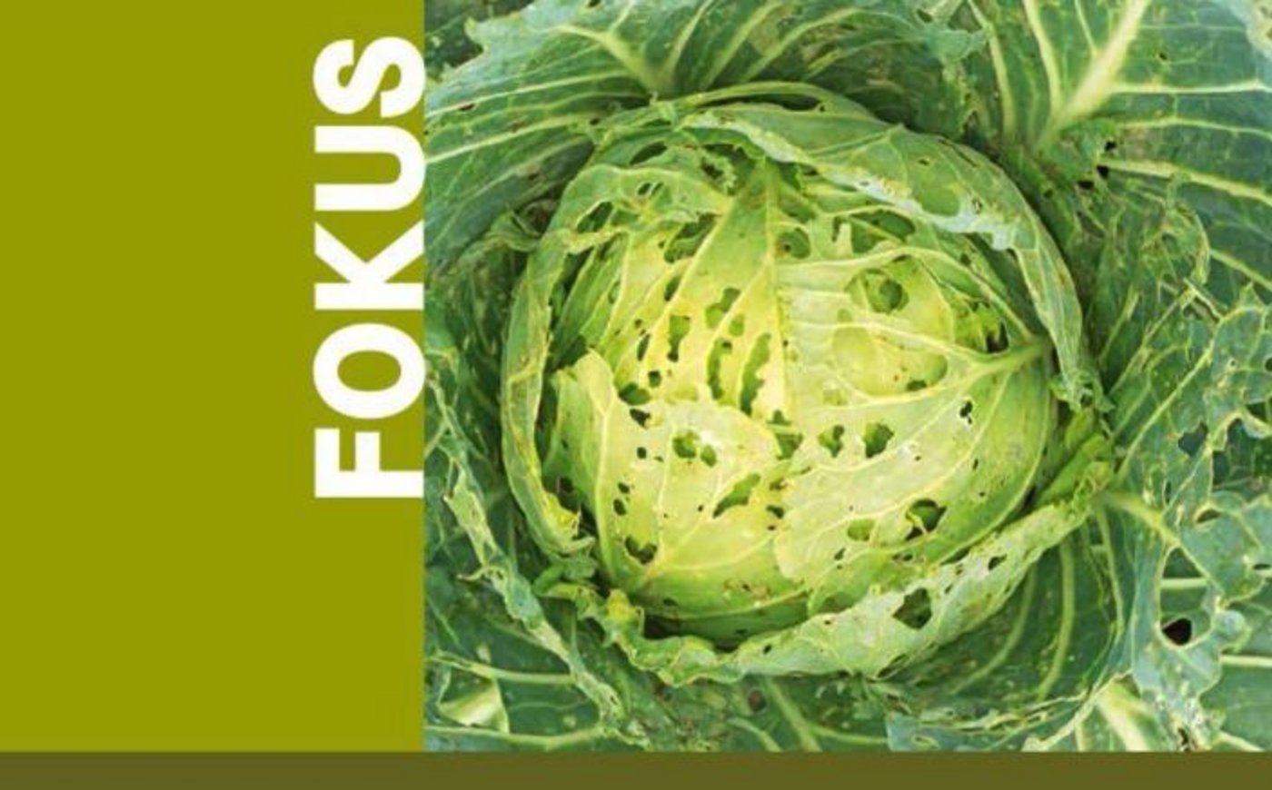 Mit der Broschüre will der SBV zeigen, dass Landwirtinnen und Landwirte Pflanzenschutzmittel nicht zum Spass einsetzen. (Bild SBV)