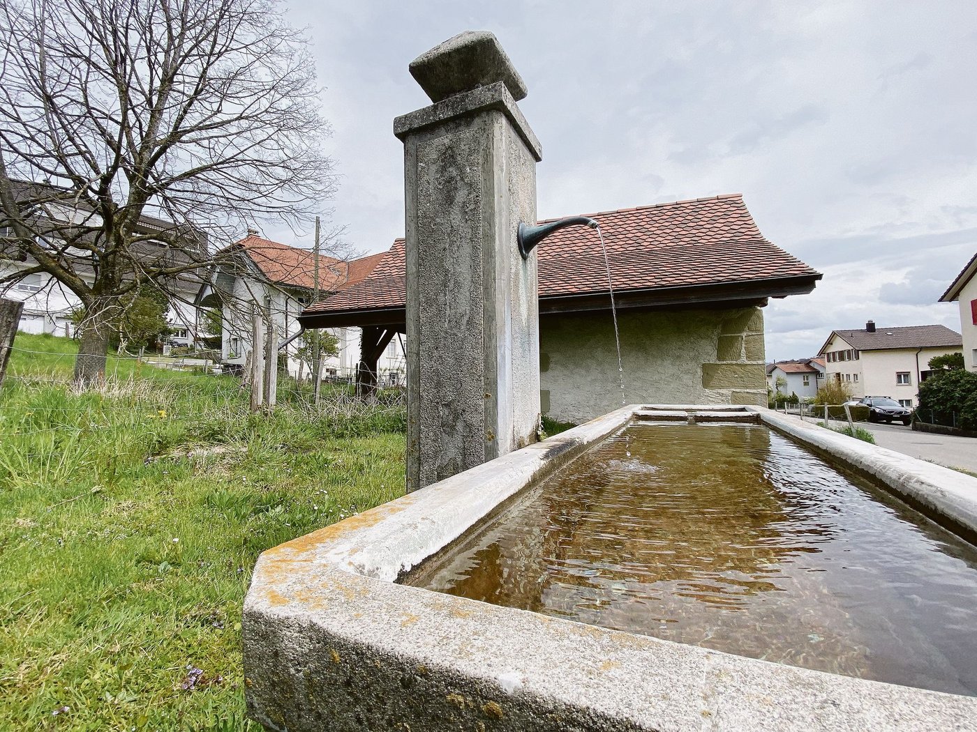 Einwandfreies Trinkwasser in den Urkantonen.  (Bild sjh)