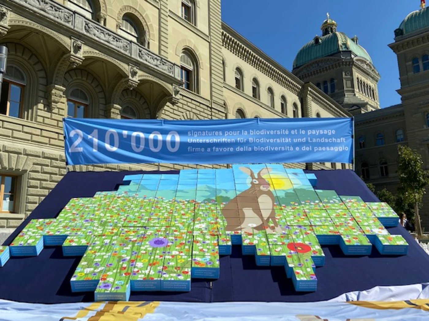 Präsentation der Unterschriften für die Doppelinitiative in Puzzleform vor dem Bundeshaus. (Bild akr)