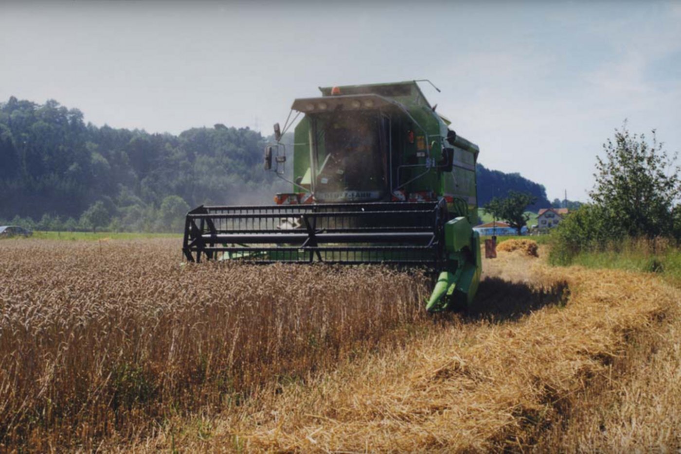 Insgesamt wird mit einer Weizenernte in Russland von 72 Mio. Tonnen gerechnet - das wären fast 11 Mio. Tonnen mehr als 2015. (Bild lid)