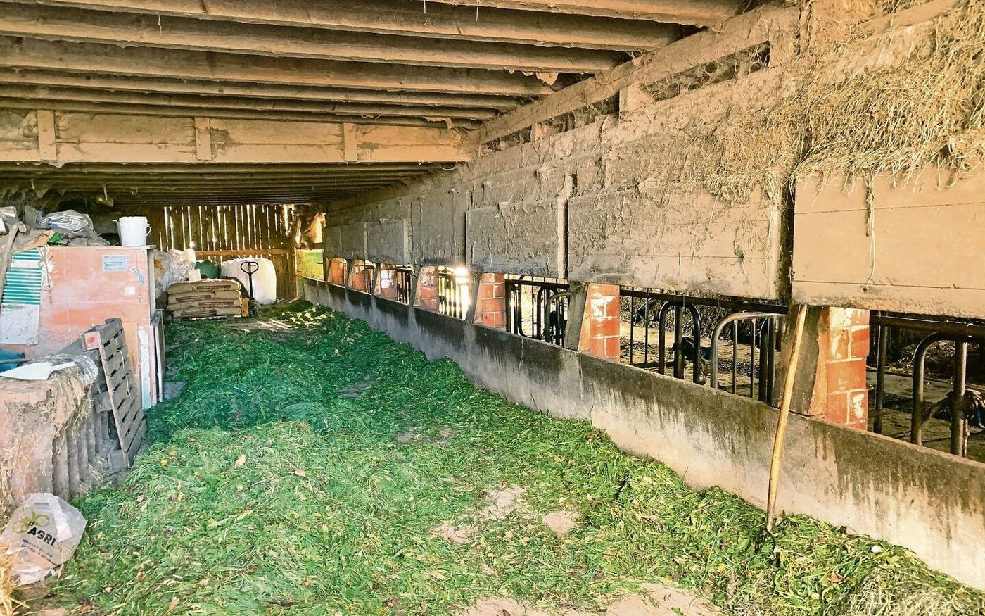 Der alte Milchviehstall auf dem Betrieb Oberfluh vor dem Umbau. 