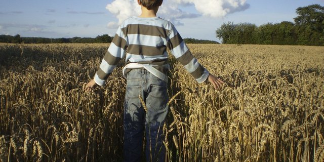 Kinder können sogenannte Time Outs auf Bauernhöfen absolvieren. (Bild pd) 