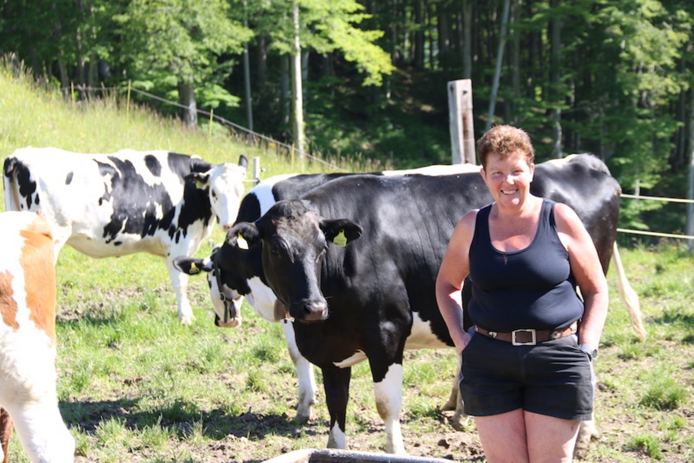 «Meine Mädels» nennt Erika Rickenbacher die 50 Rinder und 12 Mutterkühe, die sie 130 Tage auf der Alp Zeglingen BL auf rund 750 m ü. M. hirtet. (Bilder Benildis Bentolila)
