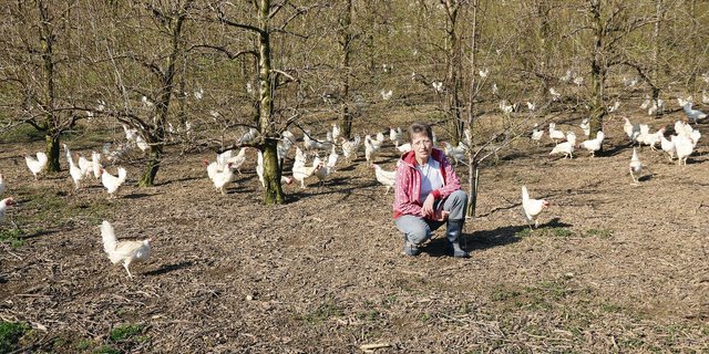 Sonja Degen im Aussenbereich des Legehennenstalls. In jeglicher Hinsicht wird dem Tierwohl grösste Beachtung geschenkt.(Bild BB)