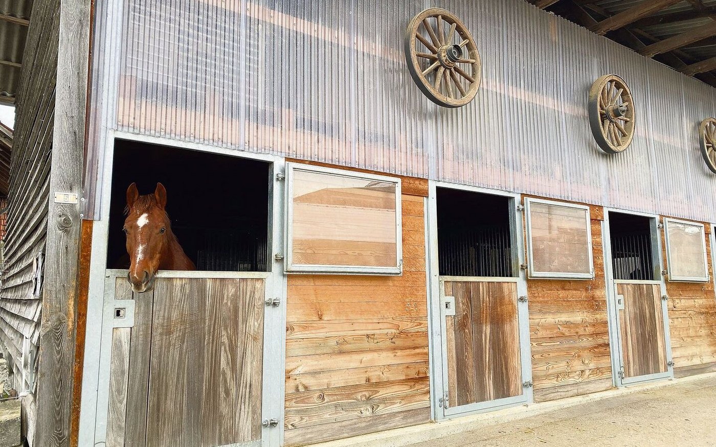 20 Pferdeboxen sind aus den umliegenden Gebäuden und dem alten Mastmunistall entstanden.