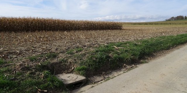 Über solche Einlaufschächte gelangt Wasser vom Feld und vom Flurweg direkt ins nächste Gewässer – ein hydraulischer Kurzschluss. (Bild Eawag, Urs Schönenberger)