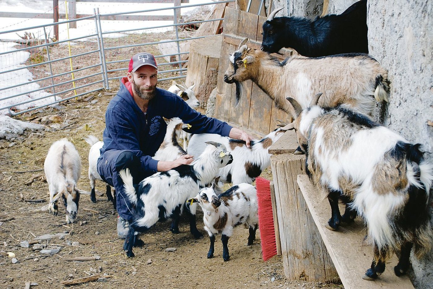 Thomas Leppkes mit seinen Zwergziegen. Auch aus ihnen gibt es irgendwann mal Fleischerzeugnisse.(Bilder Vrena Crameri-Daeppen)