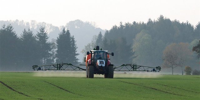 Der Bundesrat unterstütze die Initiative zur Reduzierung von Pflanzenschutzmitteln. (Bild Franz W./pixabay) 