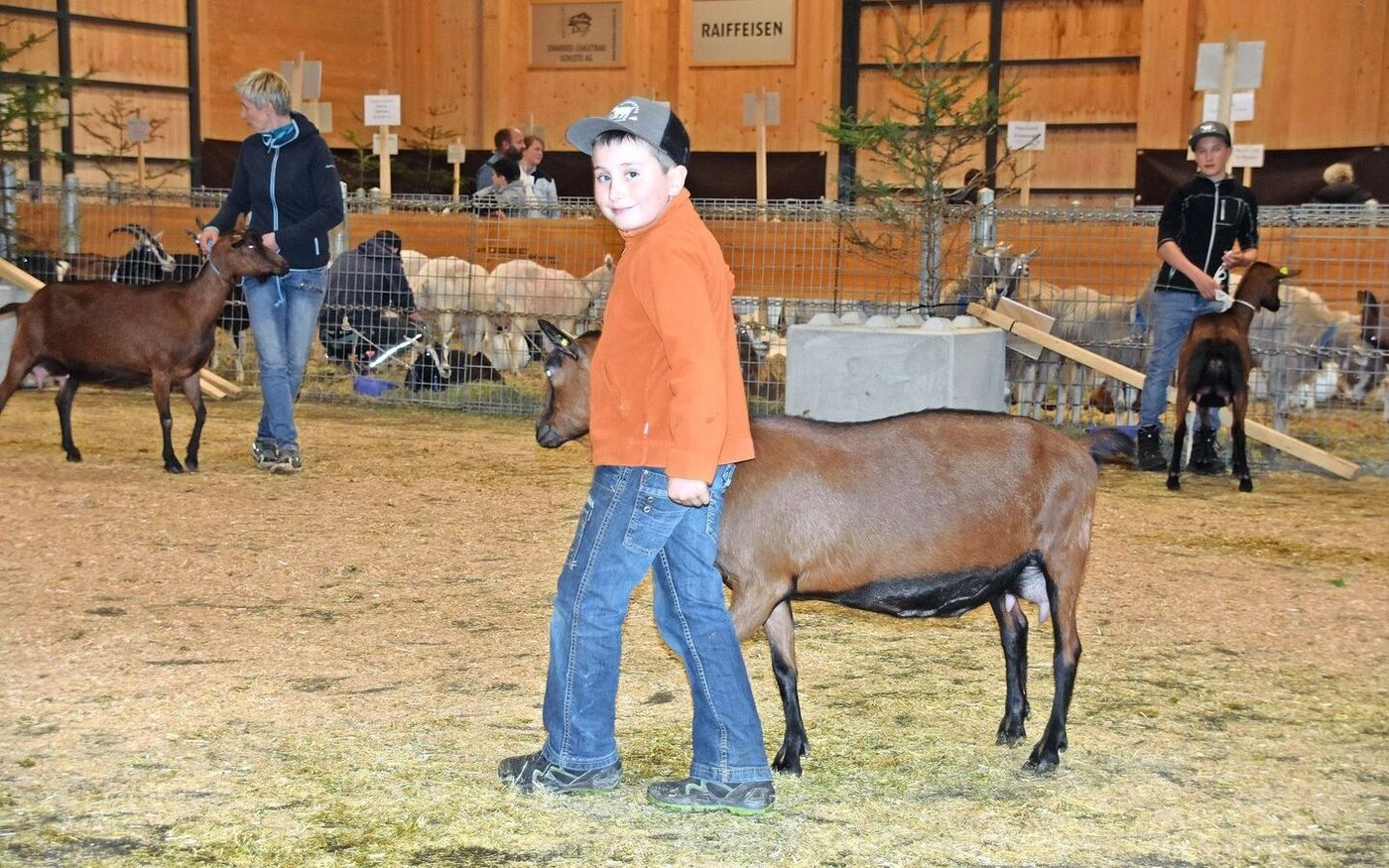 Konzentriert an der Arbeit oder besser gesagt beim Vorführen: Jonathan Schenk aus Eggiwil.