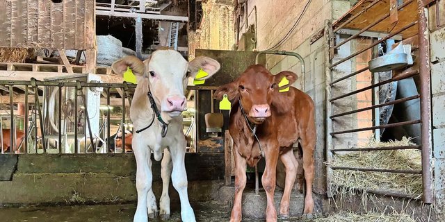 Aktuell lassen sich die Tränker noch platzieren, das dürfte sich aber schon bald ändern.    