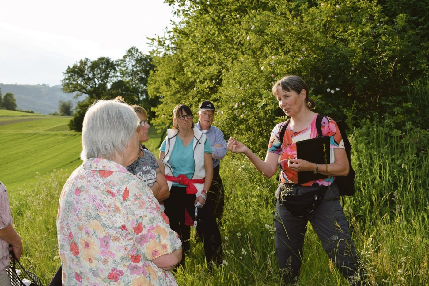 Heidi Kohler erklärt den Landfrauen aus Gerzensee, was alles in der Hecke wächst und gedeiht, zeigt den Nutzen der verschiedenen Pflanzen und Strukturen. Auch Steinhaufen und Totholz haben hier wichtige Aufgaben. (Bild Daniela Joder)