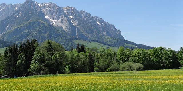 Die Verurteilung des Bauern nach der tödlichen Attacke seiner Mutterkuh-Herde hat eine grosse Diskussion zum Thema Wanderer und (Mutter)Kühe ausgelöst. (Symbolbild Pixabay)