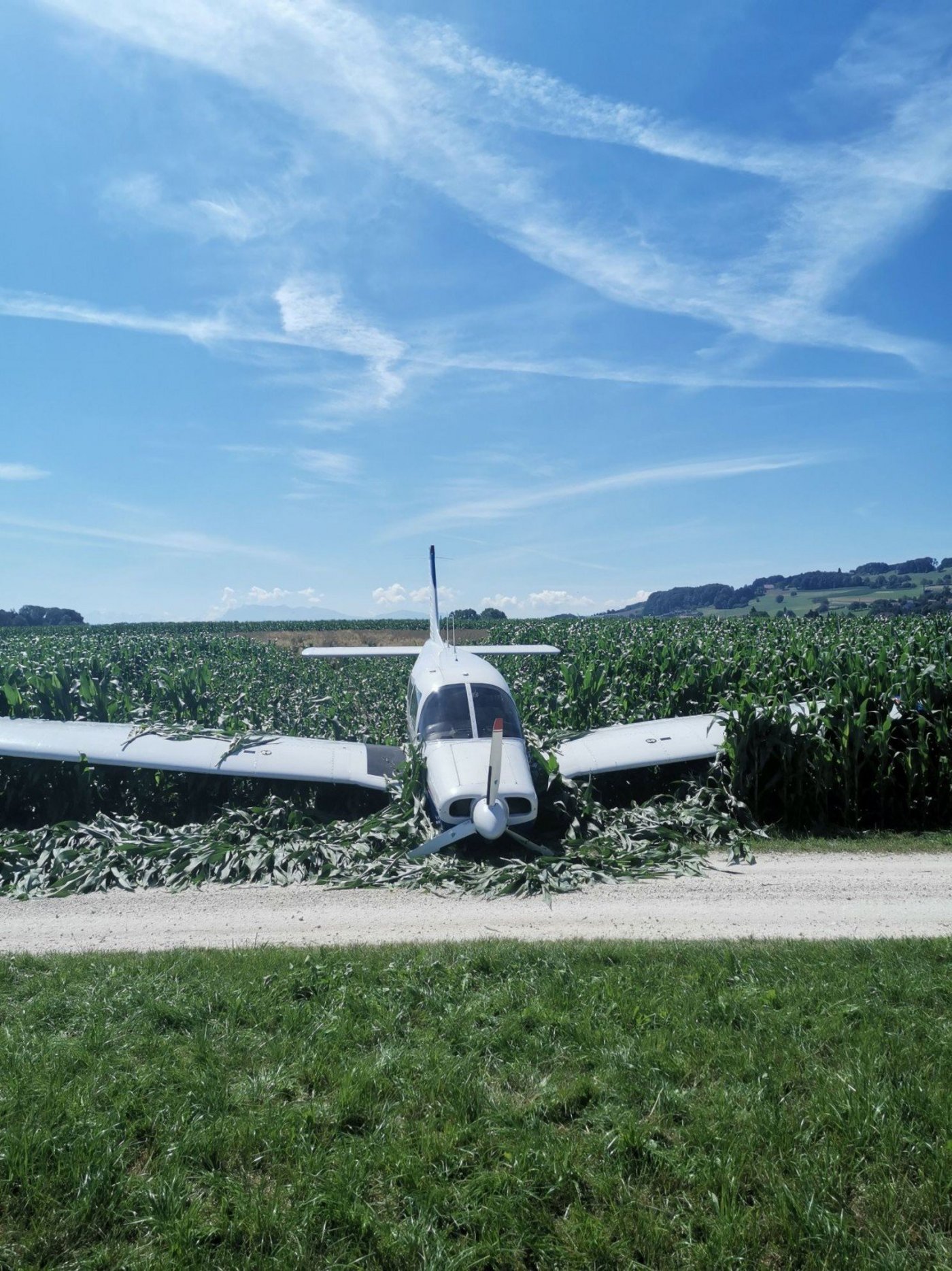 Bei der Notlandung brach das Bugrad ab und im Maisfeld entstand ebenfalls Sachschaden. (Bild Kapo AG)