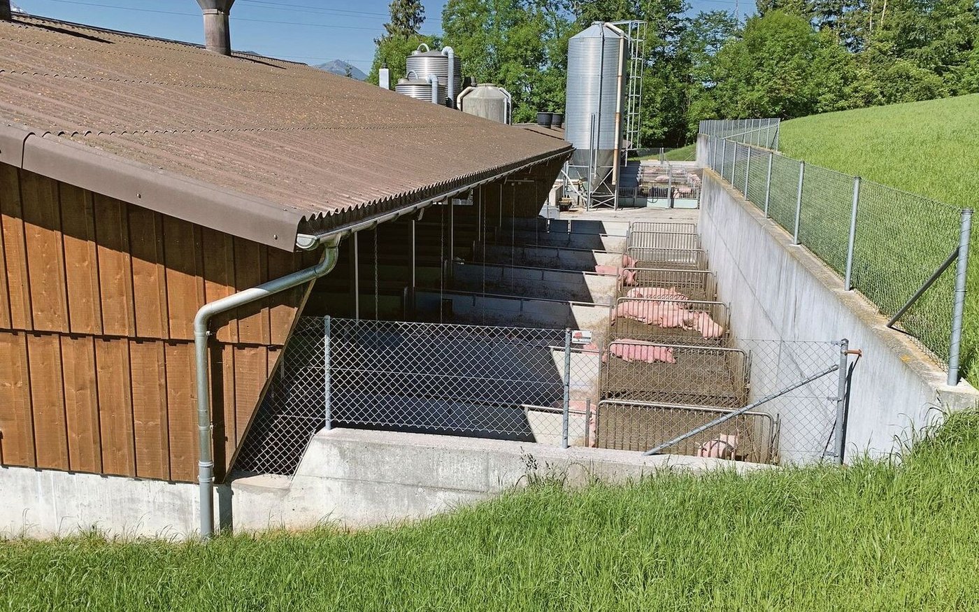 Eine korrekte Abzäunung der Schweineausläufe ist eine der wichtigste Schutzmassnahme gegen Seuchen, eine entsprechende Versicherung fällt nun aber weg.