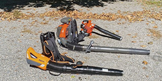 Laubbläser gibt es in verschiedenen Ausführungen und Leistungsstärken. Sie sind effizient, aber auch umstritten. Richtig eingesetzt, können sie aber die Biodiversität fördern.