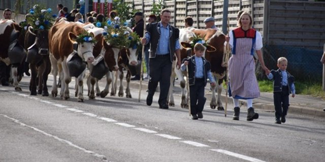 Die geschmückten Kühe werden normalerweise von zahlreichen Zuschauern bestaunt. (Archivbild BauernZeitung)