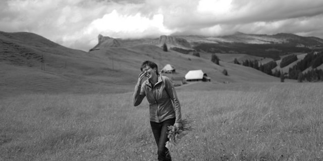 Esther hat das Alpenkreuzkraut zwischen der Schrattenfluh, dem Brienzer Rothorn und dem Tannhorn gesucht und gefunden. (Bild Pinaki)