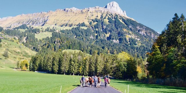 Der Wald wächst nicht nur im Berggebiet weiter. In einigen Kantonen wird der Wald nun neu vermessen.