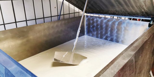 Die Qualität der Milch ist genau geregelt. Bei zu häufig zu hohen Keim- oder Zellzahlen droht eine Milchliefersperre. Bei jedem Nachweis von Hemmstoffen sofort. (Bild sb)