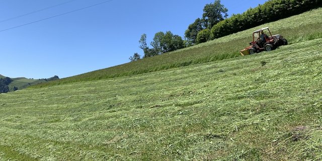 Mähen im Berggebiet: Die Mechanisierung für Hanglagen schafft Arbeitserleichterung aber kostet.  (Bild BauZ)