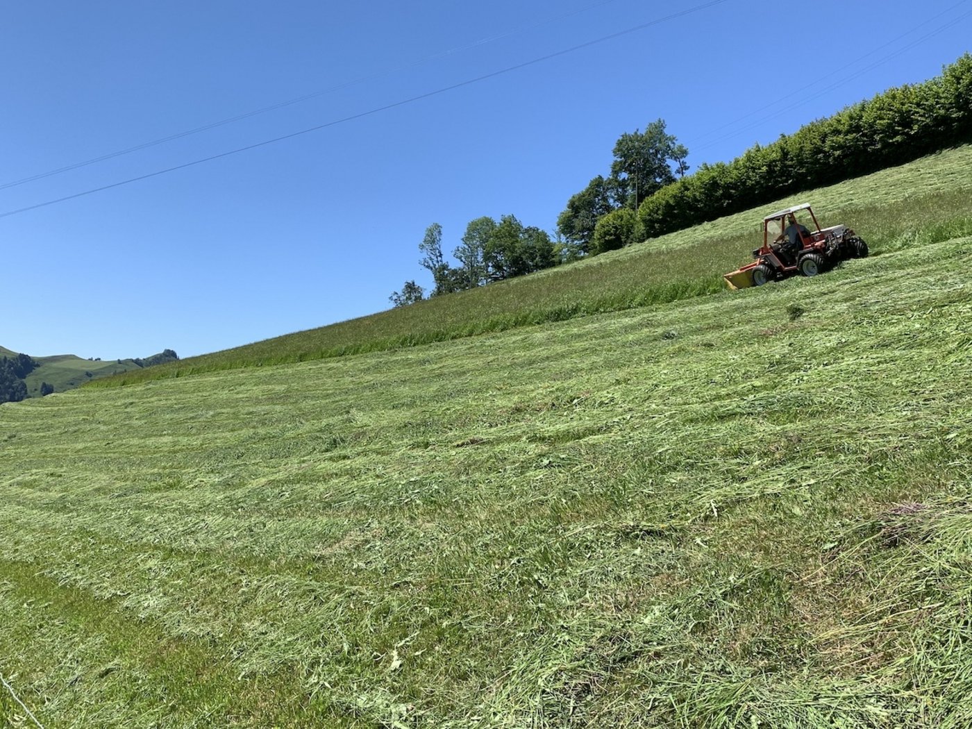 Mähen im Berggebiet: Die Mechanisierung für Hanglagen schafft Arbeitserleichterung aber kostet.  (Bild BauZ)