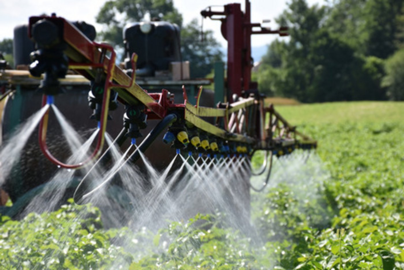 An einer Pflanzenbautagung wurde über das erste Versuchsjahr vom Projekt Pestired berichtet, das den Einsatz von chemisch-synthetischen Pflanzenschutzmitteln im Laufe einer genau festgelegten Fruchtfolge um 75 Prozent verringern will. (Bild Archiv BauernZeitung)