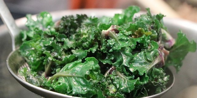 Die nussigen Kalettes bringen selbst Kohl-Skeptiker auf den Geschmack. (Bild Kalettes®)