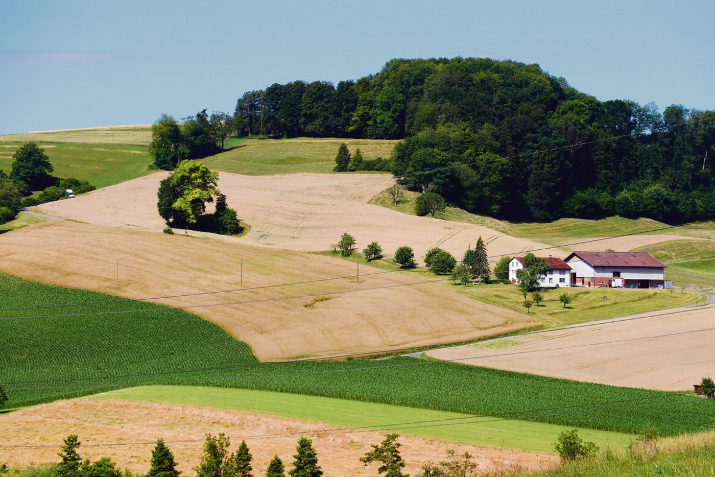 Auch bei landwirtschaftlichen Pachten kann eine Pachtrückgabe eines Tages eintreten.(Symbolbild BauZ)
