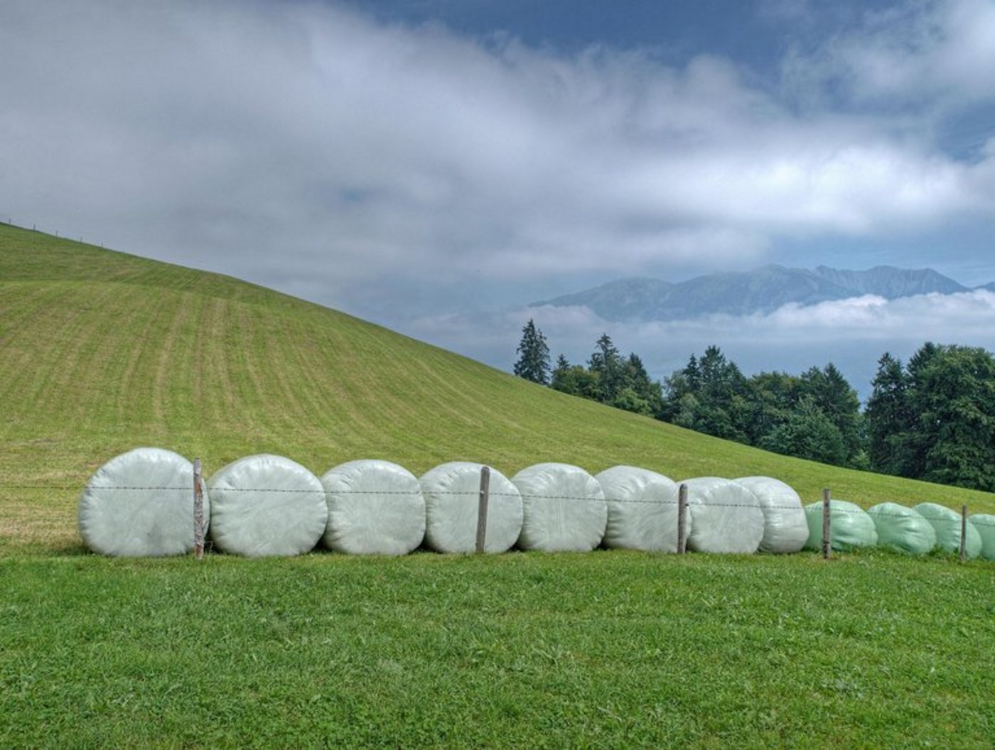 Mit dem Frühlingsanfang silieren die Bauern wieder. Die Folien landen grösstenteils in der Kehrichtverbrennungsanlage. (Bild Hermann Limacher/landwirtschaft.ch)