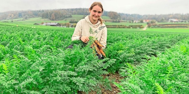 Derzeit geben die Rüebli auf dem Lehrbetrieb von Jasmin Brunner im zürcherischen Sünikon den Takt an. Sie stammt selbst von einem Gemüsebetrieb und ist derzeit im ersten Lehrjahr.  