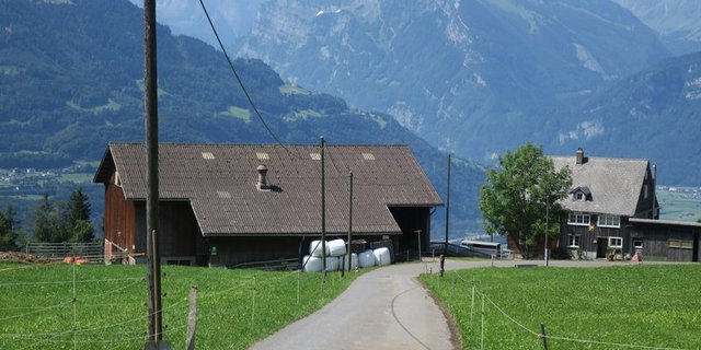 Der Bund überprüft im Rahmen der neuen Regionalpolitik in der Periode 2020-2023 seine Berggebietsförderung. (Bild Bauz/es) 