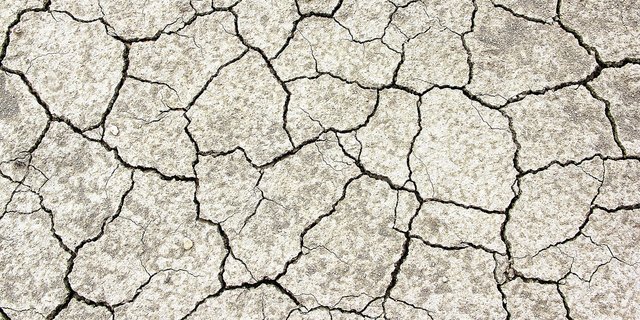 Die Schweiz sei stark vom Klimawandel betroffen, etwa durch Trockenperioden. (Bild Pixabay)