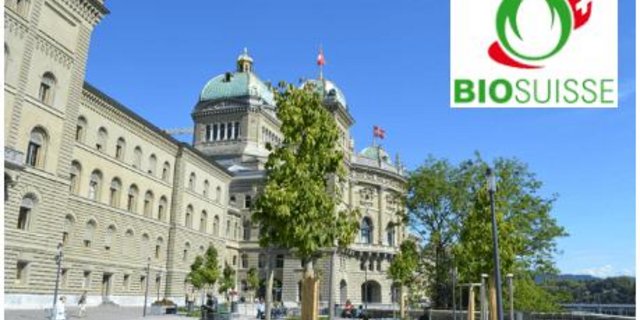 Beim Thema Pflanzenschutz schienen bei Bio Suisse die Meinungen auseinander zu gehen. (Bild jsc) 