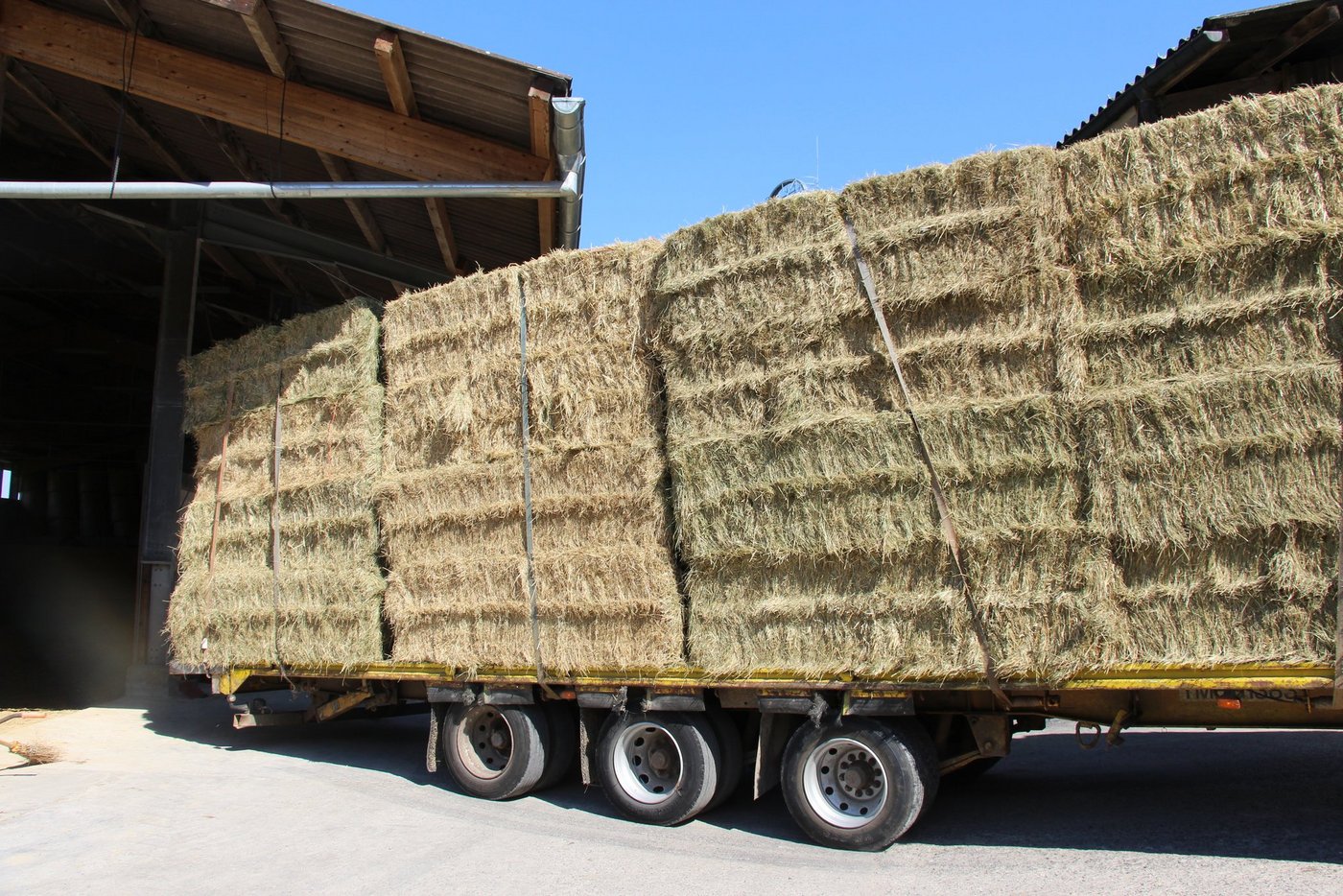 Legende zum Bild: Nur noch Schweizer Bioheu von Schweizer Biohöfen dürfen Biobauern ab 2020 zukaufen. (Bild Hans Rüssli)
