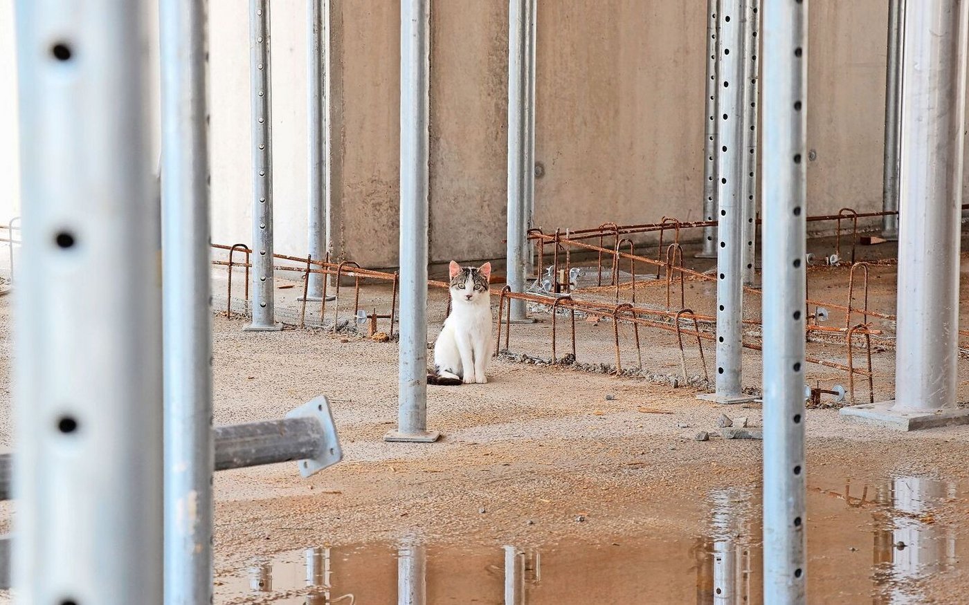 16 Bauprojekte im Luzerner Berggebiet wurden 2023 vom Solidaritätsfonds unterstützt. 