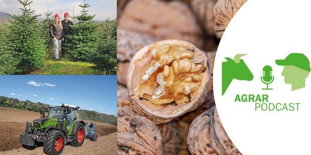 Die Episode 3 vom «AgrarPodcast» über intelligente Ohrmarken, den Fendt 200 Vario und Mutterkuh Schweiz. (Bild: «die grüne»)