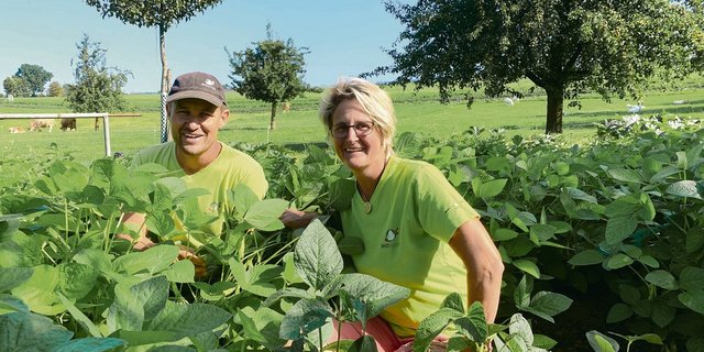 Christina und Christian Meier im Feld mit Speise-Sojabohnen. Die ganzen Hülsenfrüchte sind als gedünstetes Gemüse vor allem in der asiatischen Küche sehr beliebt. (Bild Josef Scherer)