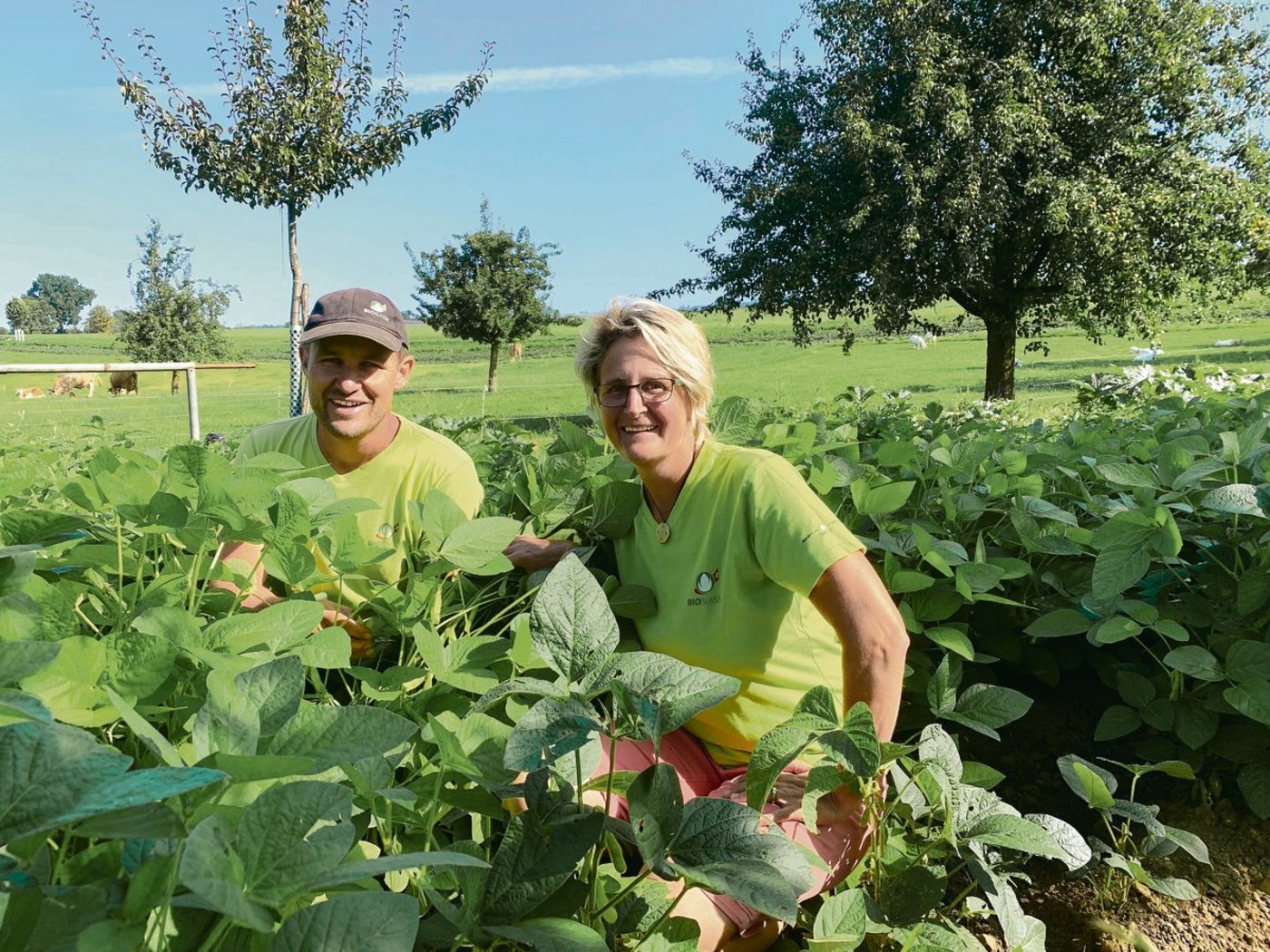 Christina und Christian Meier im Feld mit Speise-Sojabohnen. Die ganzen Hülsenfrüchte sind als gedünstetes Gemüse vor allem in der asiatischen Küche sehr beliebt. (Bild Josef Scherer)