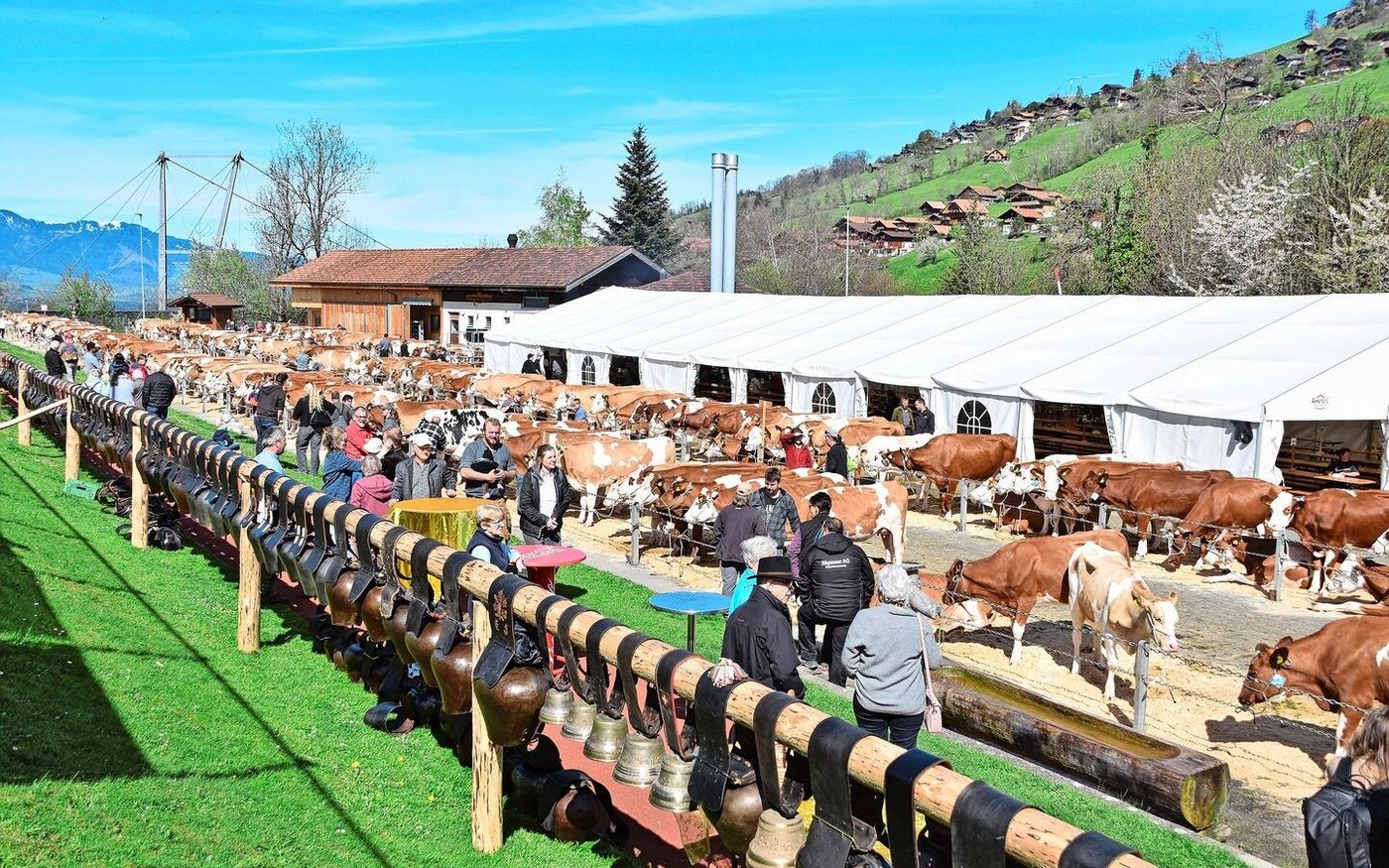 Es stimmte alles: ein schöner Schauplatz, eine hohe Qualität, eine gute Stimmung, viel Publikum und viel Wetterglück.