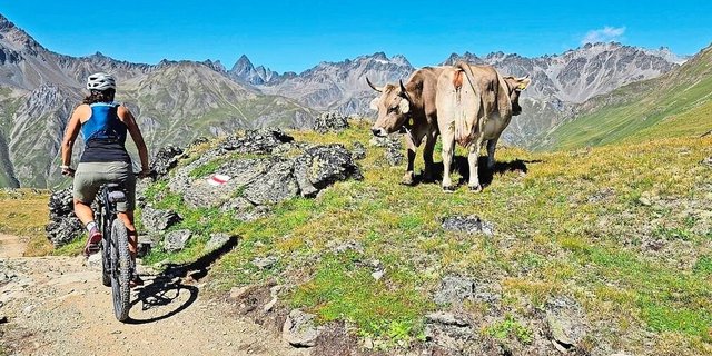 Immer mehr Mountainbikerinnen und -biker verbringen ihre Freizeit auf Trails, die über Alp- und Landwirtschaftsflächen führen. Entsprechend wichtig ist die Rücksichtnahme auf Natur und Vieh. 