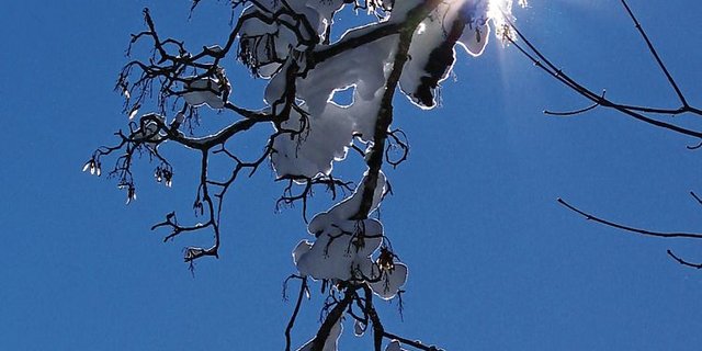 Und plötzlich ist das Licht weg. Wählt ein Familienmitglied den Freitod, bewältigen die Hinterbliebenen Trauer meist schwerer als nach einem anderen Tod. (Bild: Agnes Schneider Wermelinger)