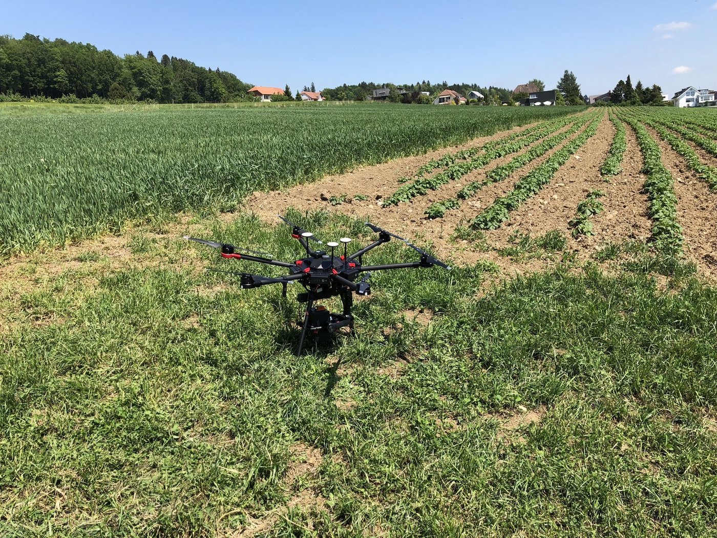 Der Potatohealth Viewer soll Krankheiten bei Saatkartoffeln erkennen. (David Aebi/Agrarpiloten)