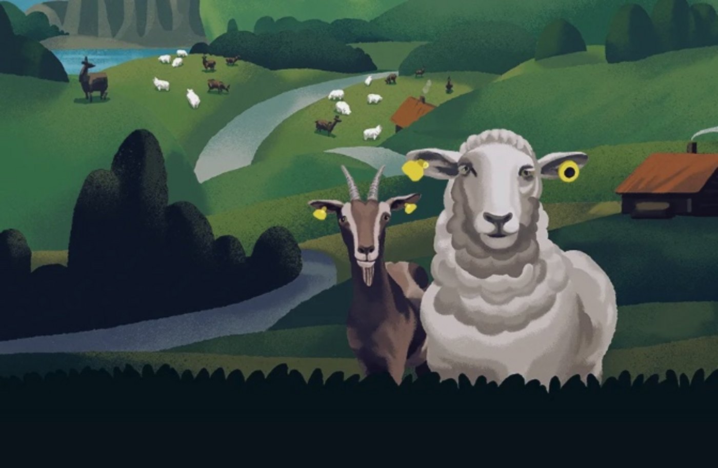 Die doppelten Ohrmarken sollen bei der Identifizierung helfen, falls eine davon verloren geht. (Bild Screenshot schafeziegen.ch)