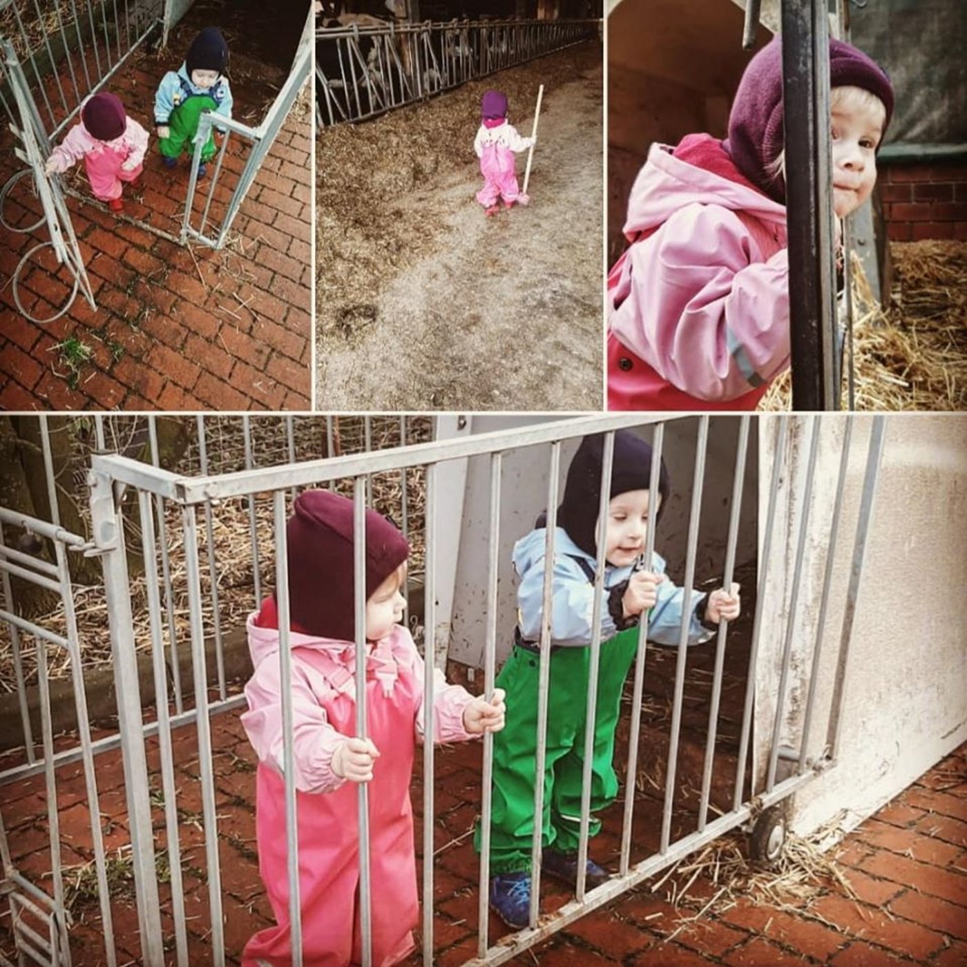 "Lasst euch nicht ärgern", sagt Mama und Bäuerin Marina Wilken zu ihren Kindern. (Bild Milchviehbetrieb Wilken)