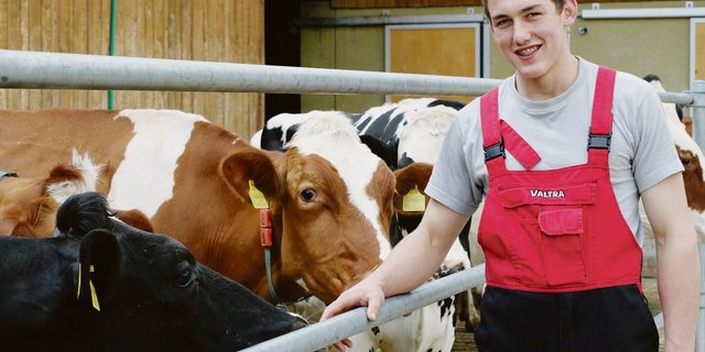 Xavier Pythoud wollte unbedingt mit Kühen arbeiten. Sie sind seine Leidenschaft. Auf dem Lehrbetrieb im solothurnischen Beinwil melkt er und lernt dabei Deutsch.(Bild Martine Romanens)