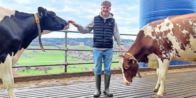 Vorfreude auf die Zentralschweizer Eliteschau: Jungzüchter Levin Gerber im Laufhof hoch über Dagmersellen.