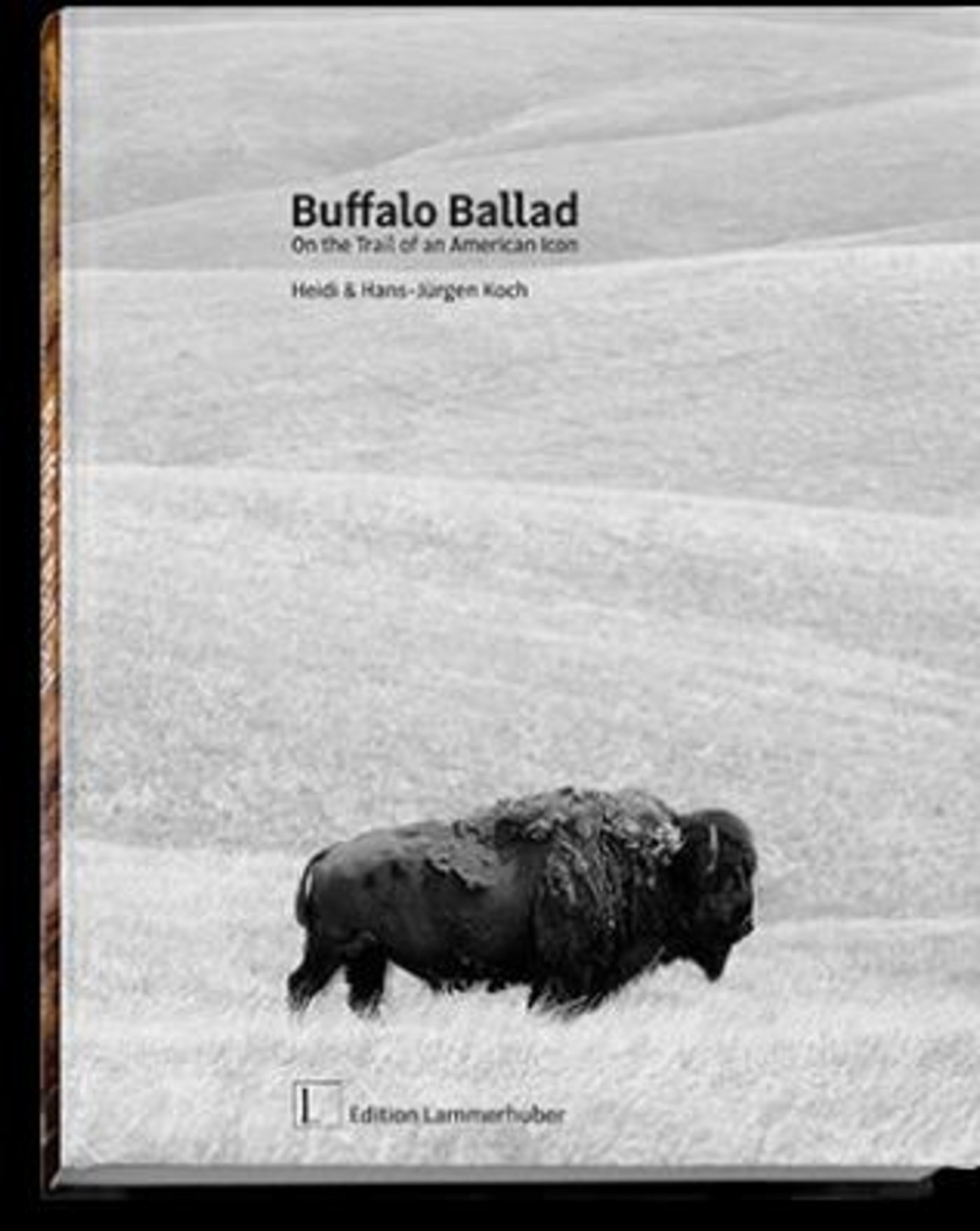 Für BIson-Liebhaber ist jetz ein Bildband erscheinen. (Bild: zvg)